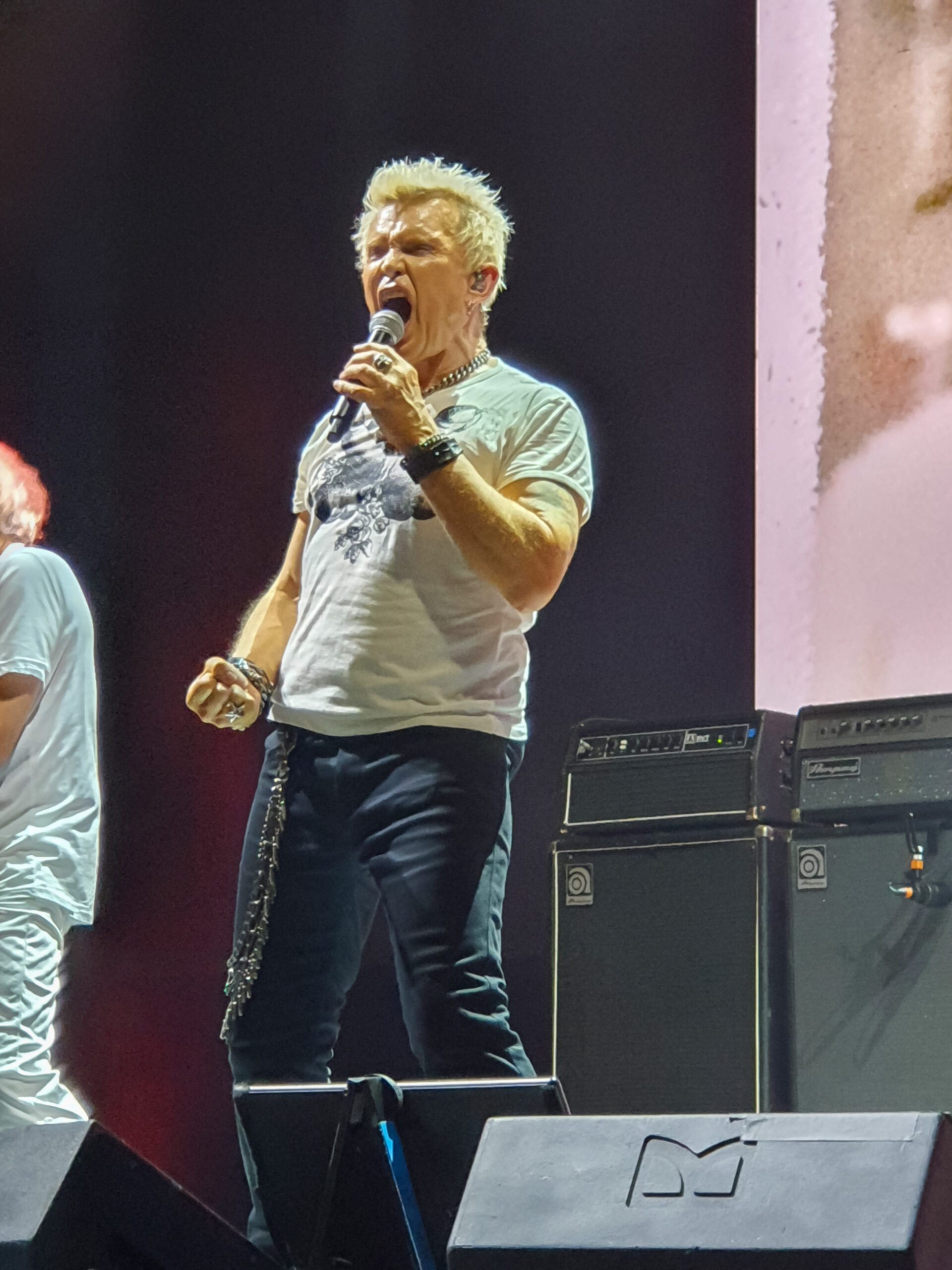 Billy Idol Reworks "White Wedding" with Guitarist Steve Stevens for Apple Music's Rediscovered Series