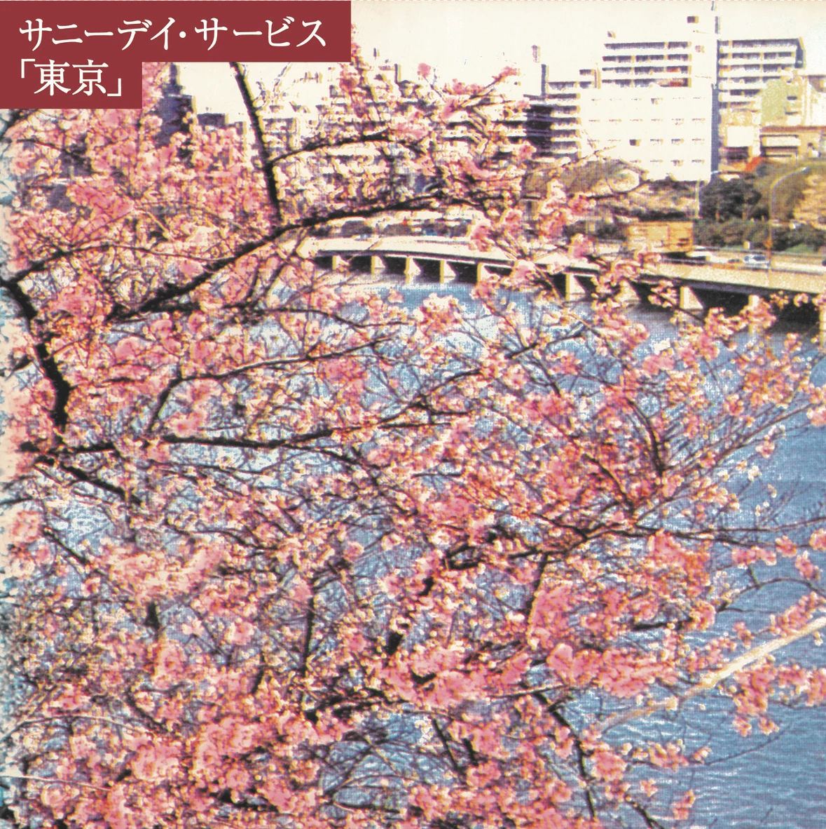 Sunny Day Service『Tokyo』30周年記念ピンク・ヴァイナル予約開始、全12曲収録