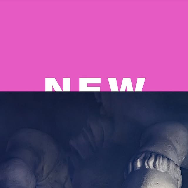 New Order, 베르사유 궁전에서 깜짝 공연…맨체스터 현악 4중주와 함께